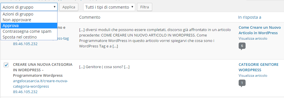 gestire-commenti-su-wordpress-approva-commento