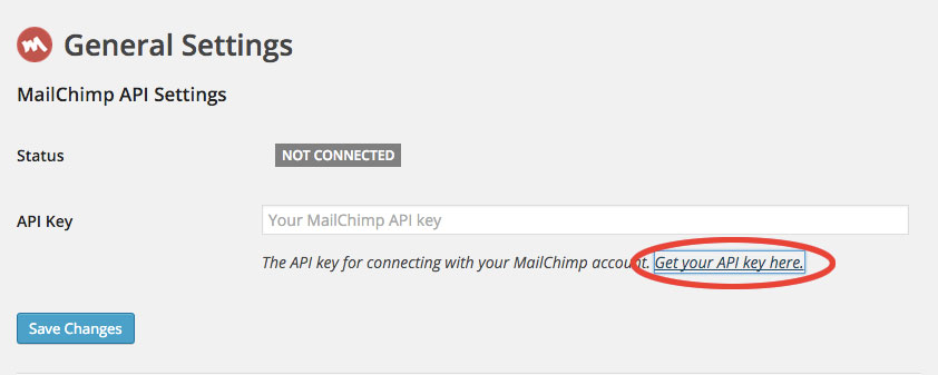 Mailchimp : ottenimento API